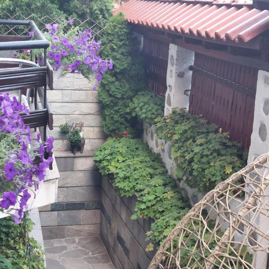 בנסקו Guest House Planinski Zdravets מראה חיצוני תמונה