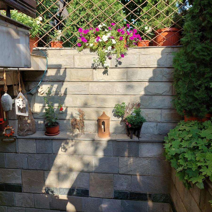 בנסקו Guest House Planinski Zdravets מראה חיצוני תמונה