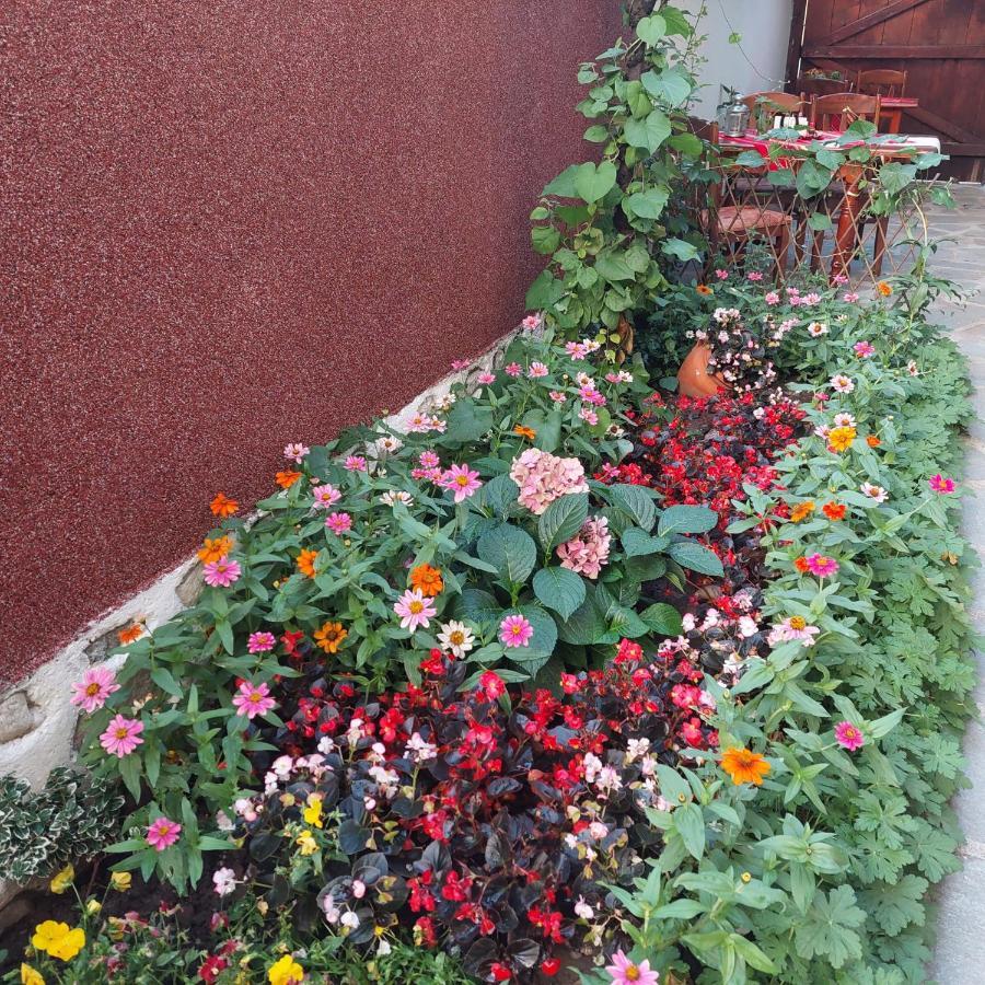 בנסקו Guest House Planinski Zdravets מראה חיצוני תמונה