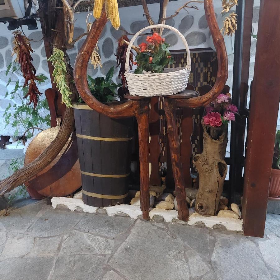 בנסקו Guest House Planinski Zdravets מראה חיצוני תמונה