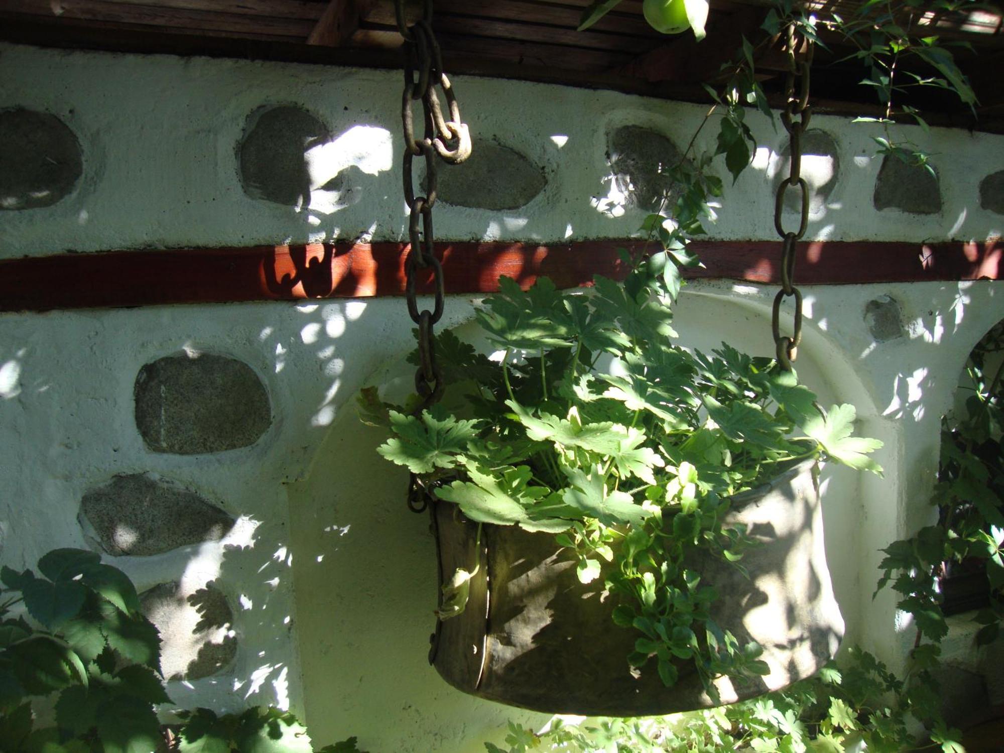 בנסקו Guest House Planinski Zdravets מראה חיצוני תמונה